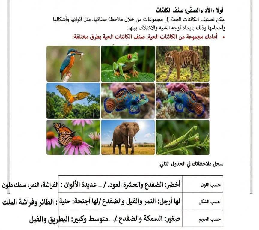 حل تقييم الاسبوع الثاني حل تقييم الاسبوع الثاني